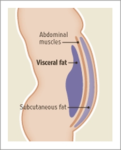 Visceral Fat