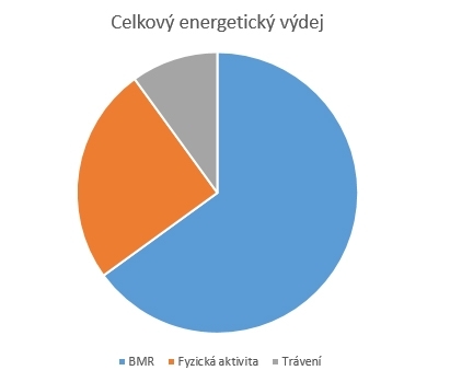 BMR - Energetický výdej